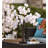 18'' Faux Cherry Blossom Tree-1272975912
