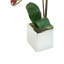 52Cm Artificial Flowering Plant in Pot