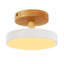 3 Colours Dimmable Modern Acrylic LED Ceiling Light-339880060