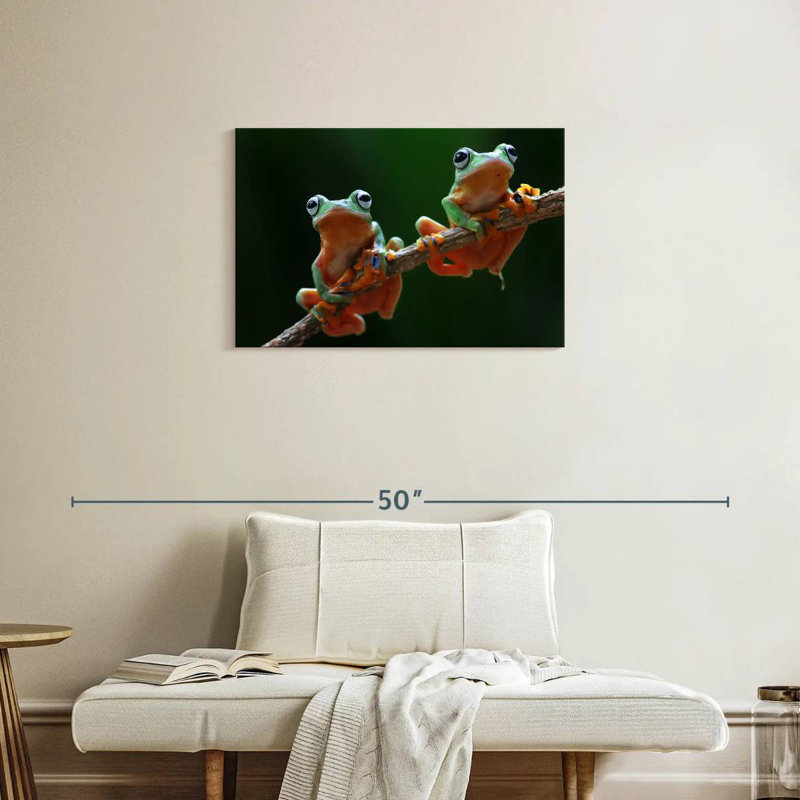 Two Wallace's Flying Frogs, 20" H x 30" W