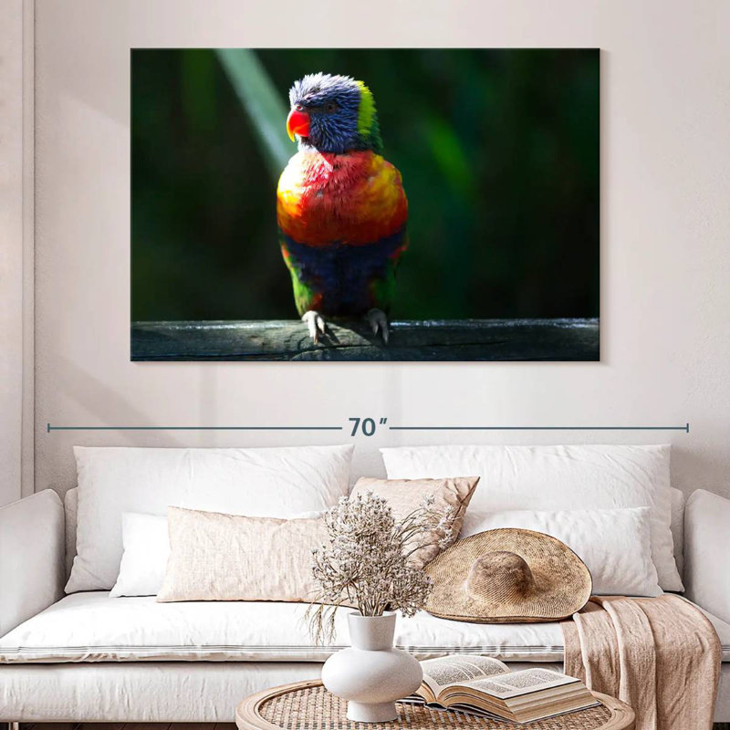 Brampt Sunlit Rainbow Lorikeet, 20" H x 30" W