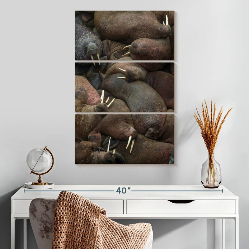 Brampt Walrus Rookery, 32" H x 20" W