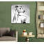 « galgo », impression sur toile tendue-18011223
