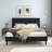 Dajai Upholstered Unfinished Platform Bed-1059561344-955523316