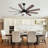 Kiriana 62'' Ceiling Fan with LED Lights