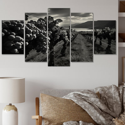 «Scenic Vineyard In Monicoloch - Reproduction d'art mural paysages - 5 panneaux