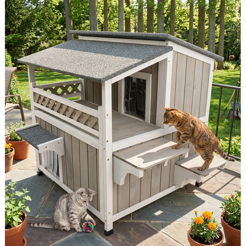Maison pour chat 2 étages avec toit en asphalte ouvert à deux niveaux, maisonnette en bois de sapin avec balcon et porte de secours