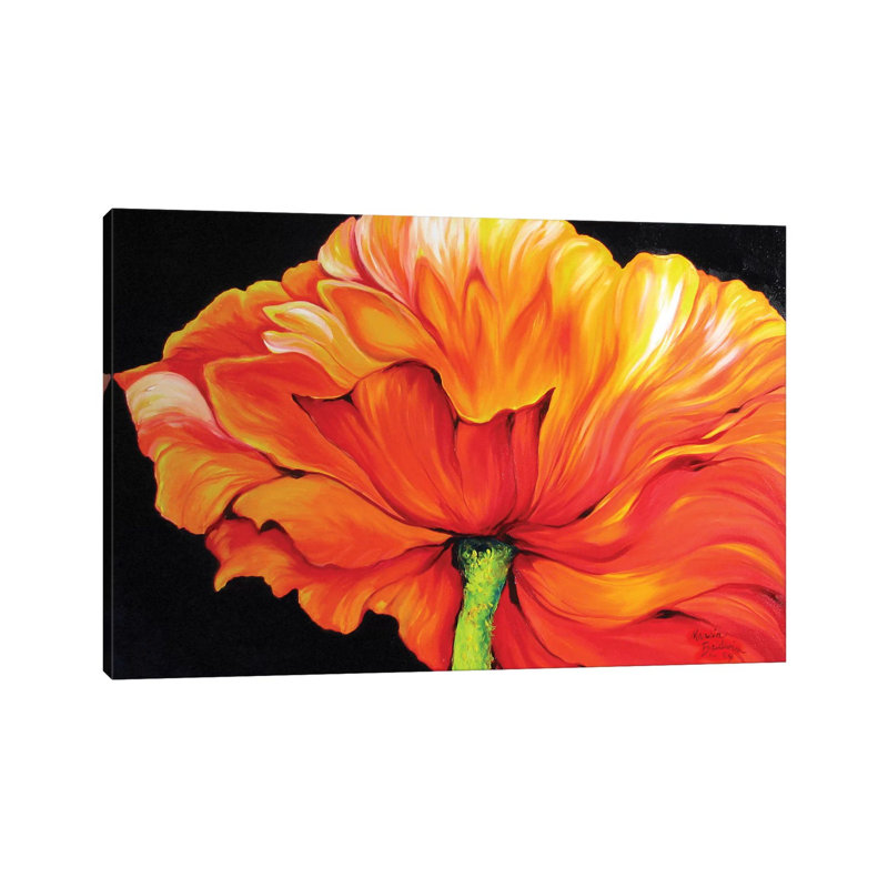 A Single Poppy by Marcia Baldwin - Wrapped Canvas Print, 20.32 cm H x 30.48 cm W