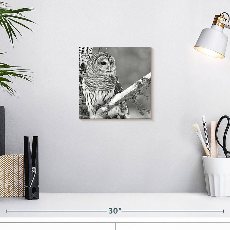 Hibou blanc Brampt BW, H 10 po x l 10 po