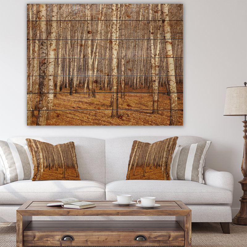 «Dense Birch Forest in the Fall», photographie, H 30 po x l 40 po x P 1,5 po, Bois