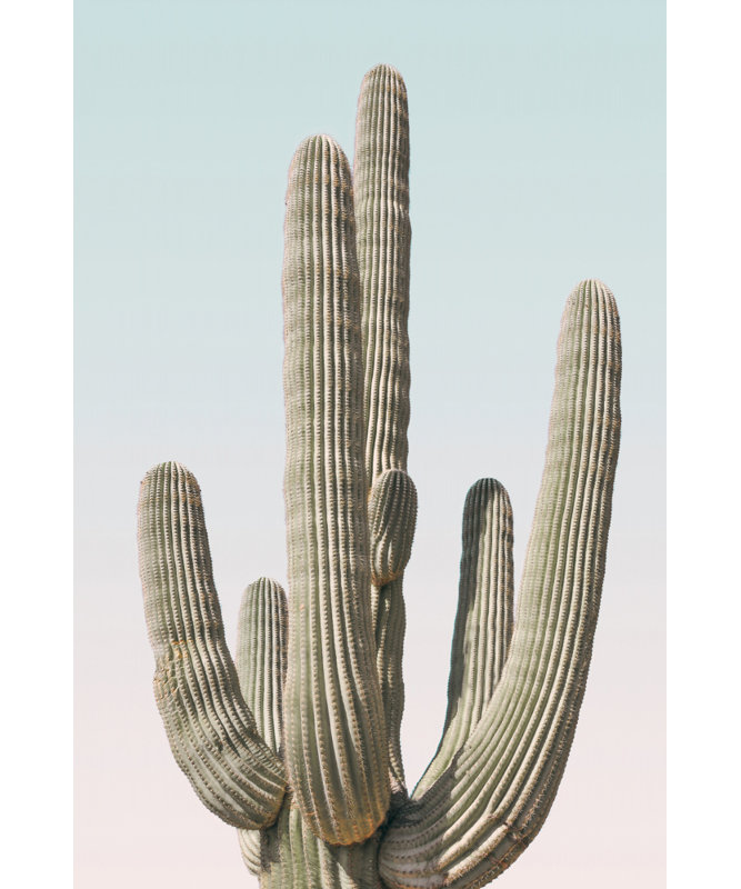 Wrapped Canvas Print, 121.92 cm H x 81.28 cm W