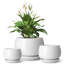 TYHPOT Ceramic Pot Planter-1035786450