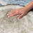 Premium Machine Washable Dream Shag ADS575 Wood Slices Rug-1752093669-1752093689