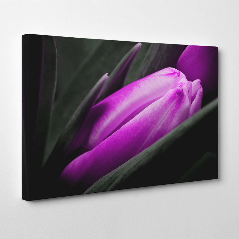 Wrapped Canvas Print, 50cm H x 76cm W