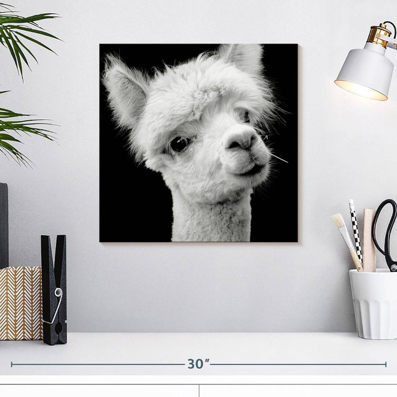 Crowle Monochrome Alpaca Head, H 16 po x l 16 po
