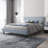 Anghelina Upholstered Platform Bed-1796766984-1833841467