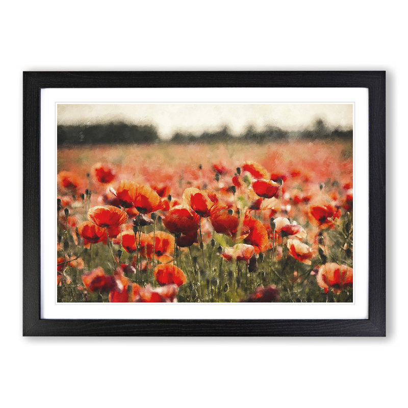 Field of Poppies Vol.1 - Framed Print, 27cm H x 36cm W x 2cm D, Black Framed