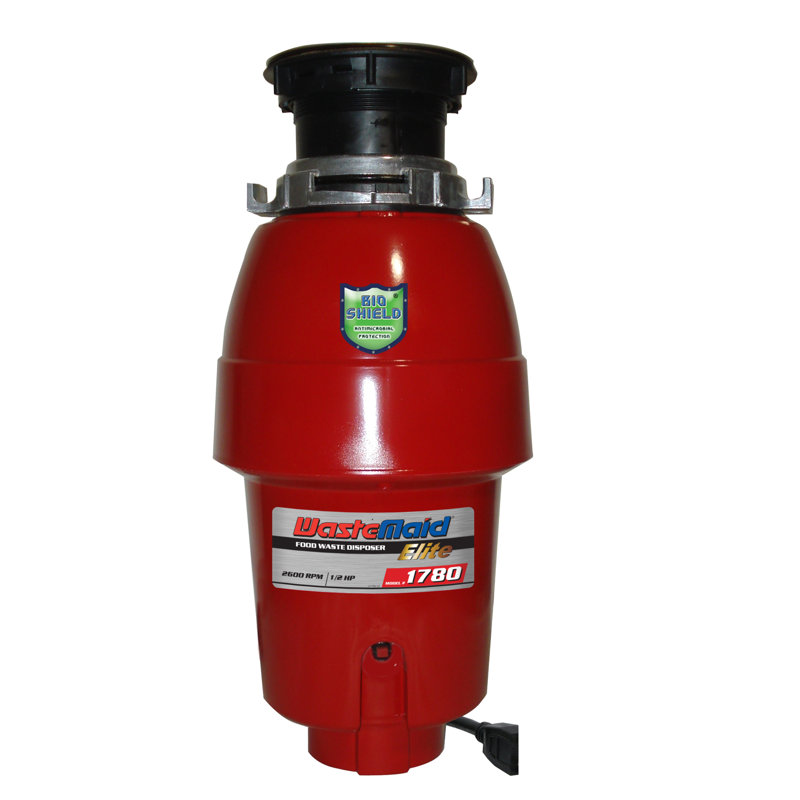 Mcwethy Waste Disposal with Continuous Feed