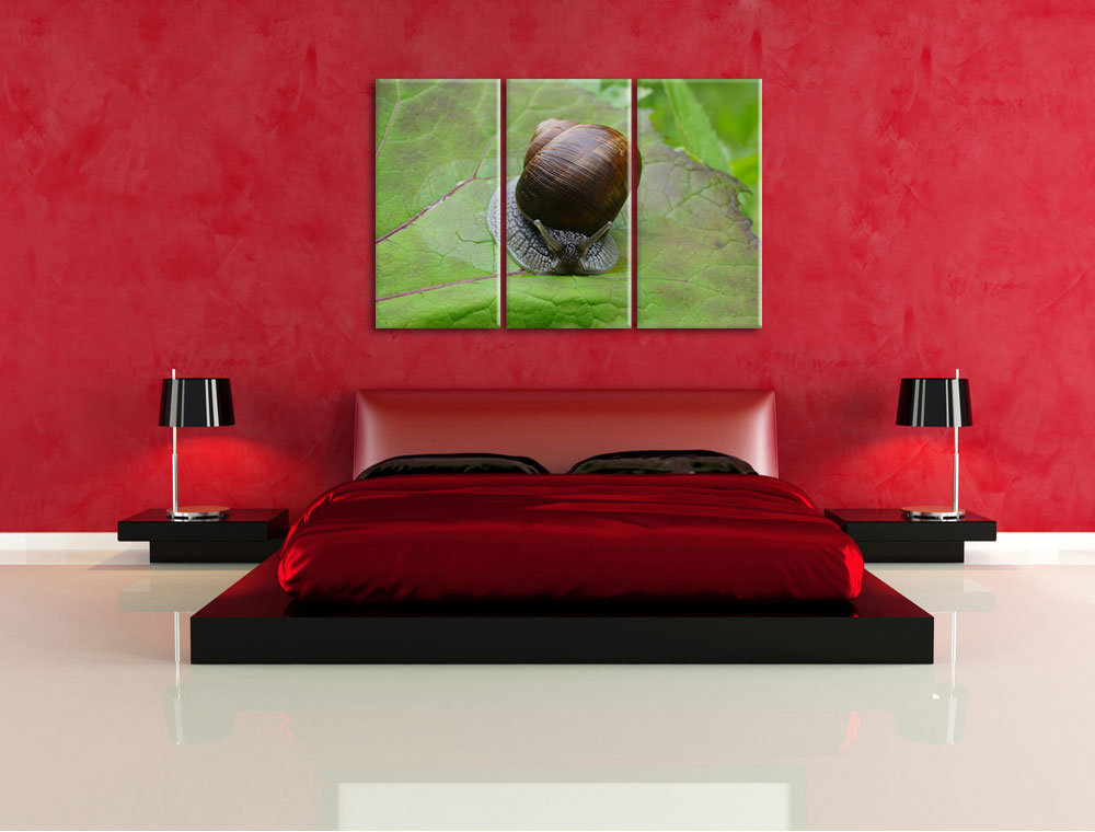 3-tlg. Leinwandbilder-Set „Kleine Schnecke mit Schneckenhaus“, Fotodruck