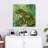 Brampt Little Frog-109366997