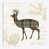 Toile tendue