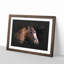 Horse Portrait - Picture Frame Graphic Art Print-56863386-56863387