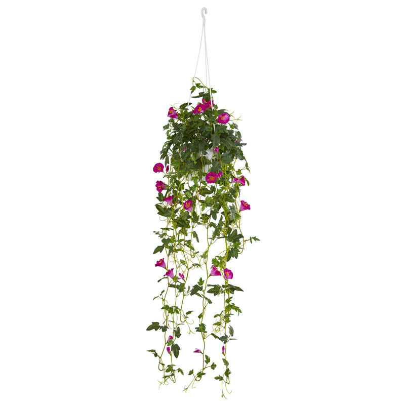 Panier suspendu petunia