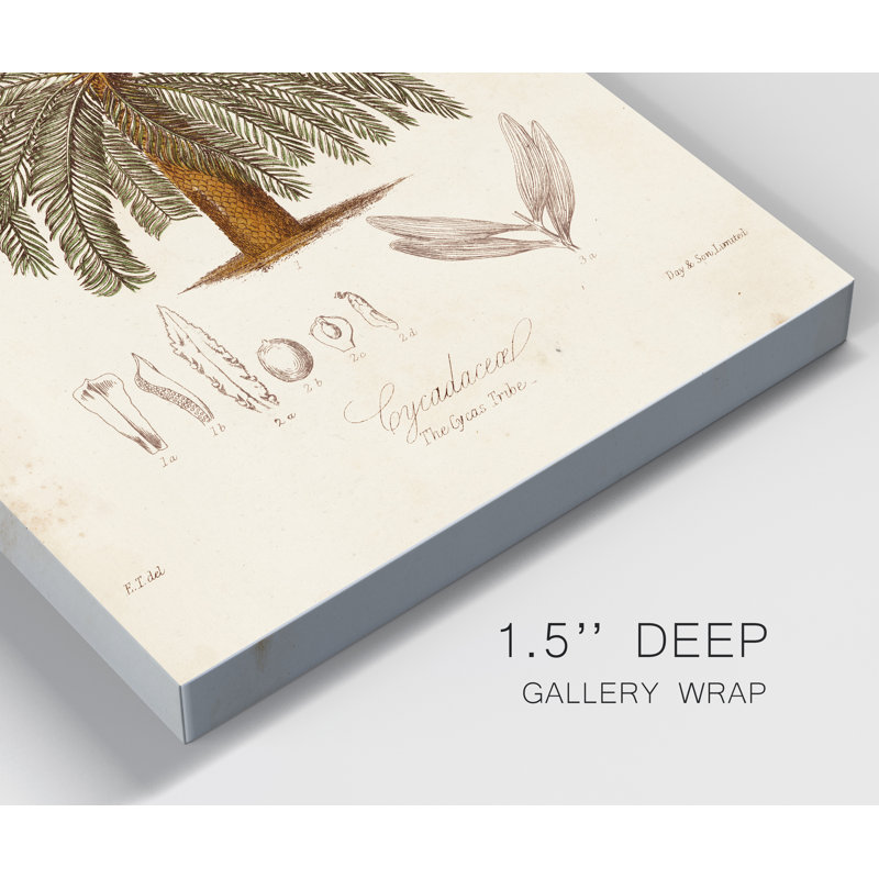 « Antique tropical Palm I », reproduction d’art sur toile tendue, H 12 po x l 8 po x P 1 po