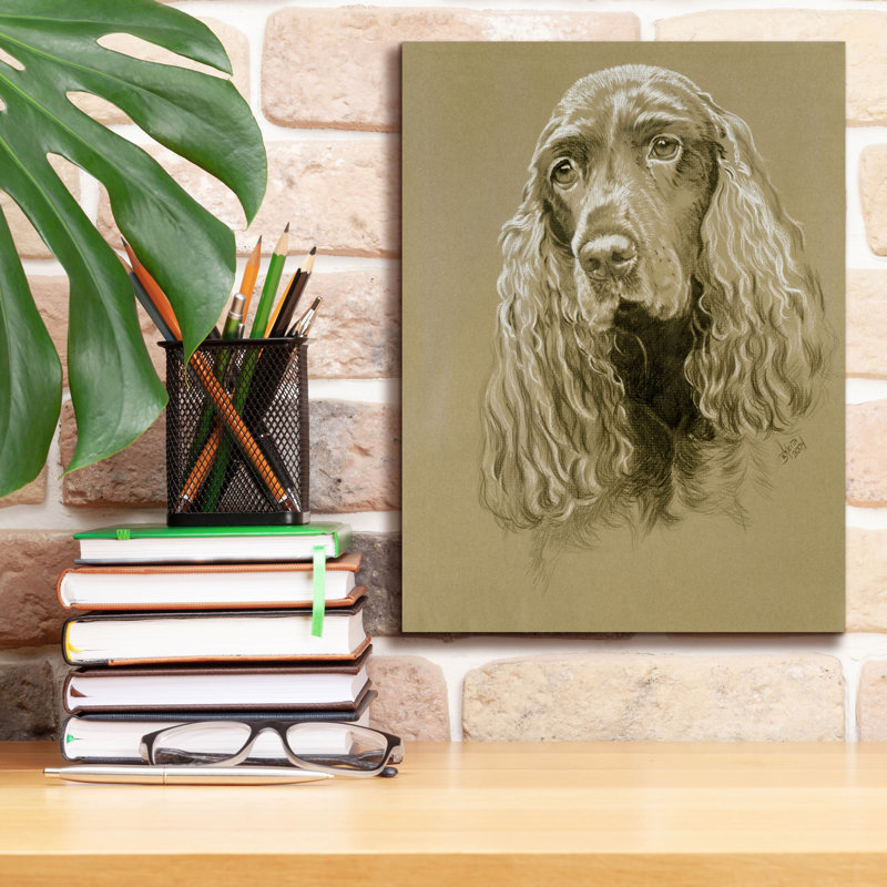 «Field Spaniel» par Barbara Keith, H 16 po x l 12 po