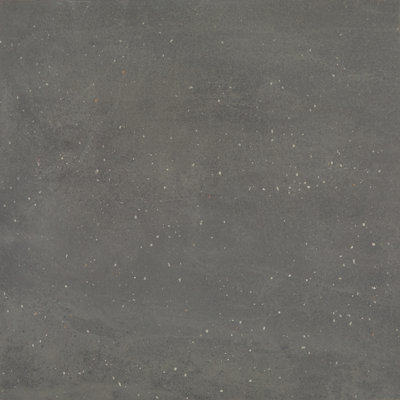Daltile Exposition 24 x 24 Porcelain Floor Tile (4 PCS Per Carton) (15.21 SQFT Per Carton)