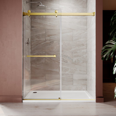 56" - 60" W x 79" H Double Sliding Frameless Shower Door