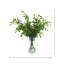 Fausse plante lierre moderne biologique Milan
