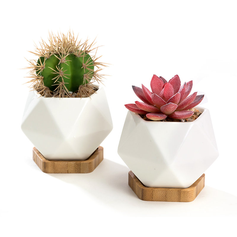 Pot de fleurs en céramique
