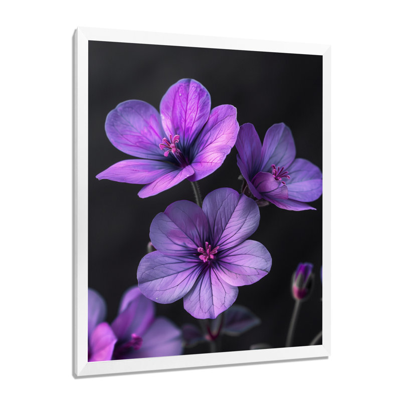Romantiques photos de géraniums noirs et mauves I - décoration murale géraniums, Cadre photo blanc simple, bois massif