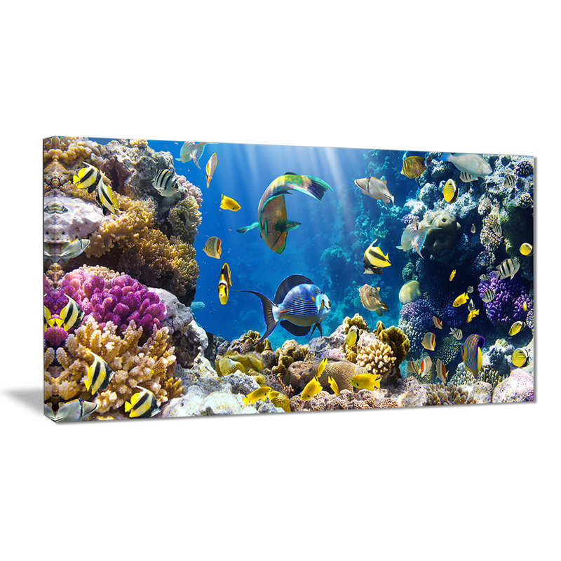 «Fish in Coral Reef», impression sur toile, H 20 po x l 40 po, Toile tendue