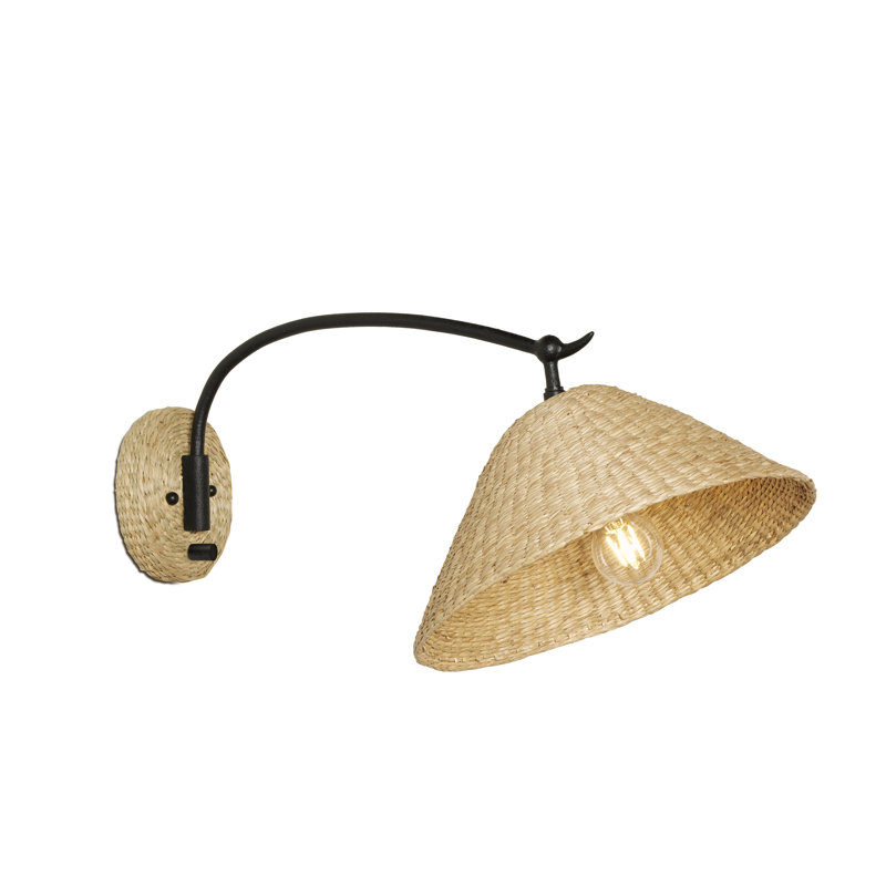 1 - Light Swing Arm