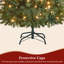 Fir Christmas Tree-900500789