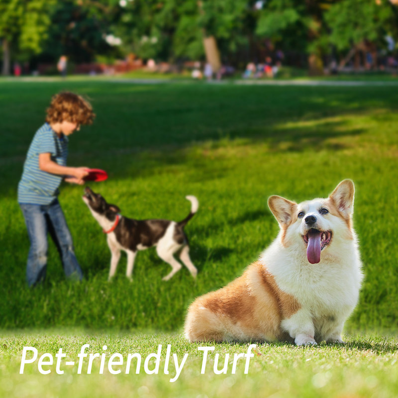 Artificial Grass Turf Rolls Customized Size, 11' W x 69' D