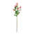 Rose sélectionné
