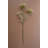  Artificial Lace Flower Spray 34"L – White Textured Botanical Stem, Set of 6