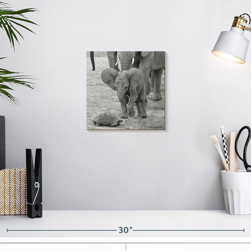 Crowle Elephant Baby I