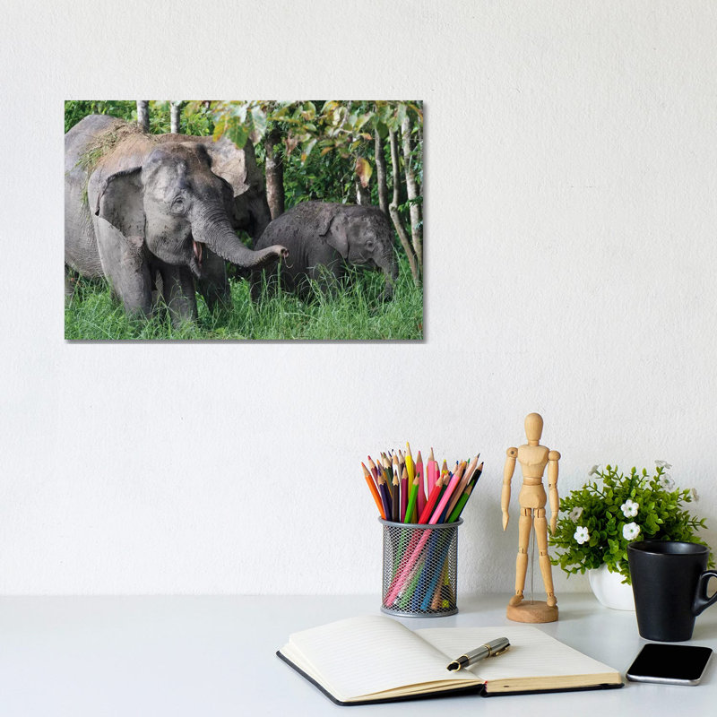 Asian Elephant Mother And Baby, Saba, Malaysia by Hiroya Minakuchi - Wrapped Canvas Print, 20.32 cm H x 30.48 cm W