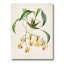 «Vintage Blossoming Flower I», peinture sur toile-59814119-59814120
