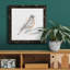 Robin des bois croquis I-Premium, toile encadrée - prête à être accrochée-802885162-802885167