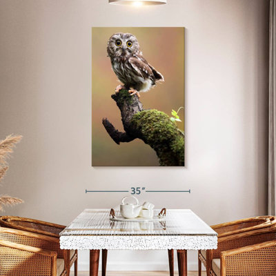 Brampt Northern Saw Whet Owl