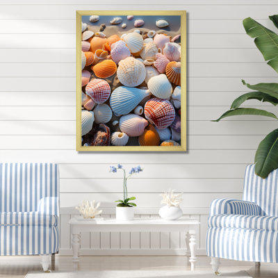 Beach Photo Sunlit Shells II - Print on Canvas