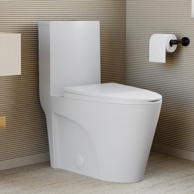 St. Tropez One Piece Elongated Toilet Dual Vortex Flush 1.1/1.6 gpf