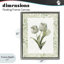 Cadre flottant trio de tulipes vert pâle, design par Nan-1854017002-1854017006