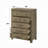 Colton Chest