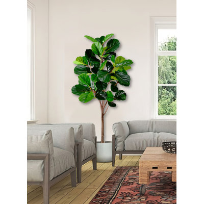 71'' Faux Fiddle Leaf Fig Tree in Pot